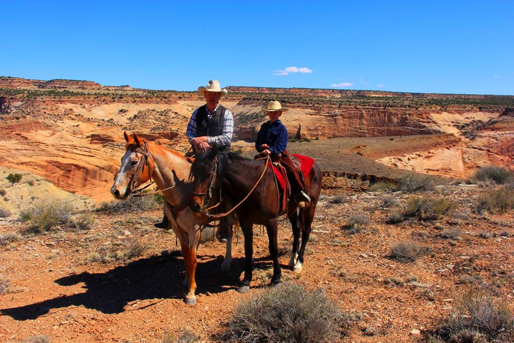 Veterinary Services in Castle Dale, UT Emery Animal Health