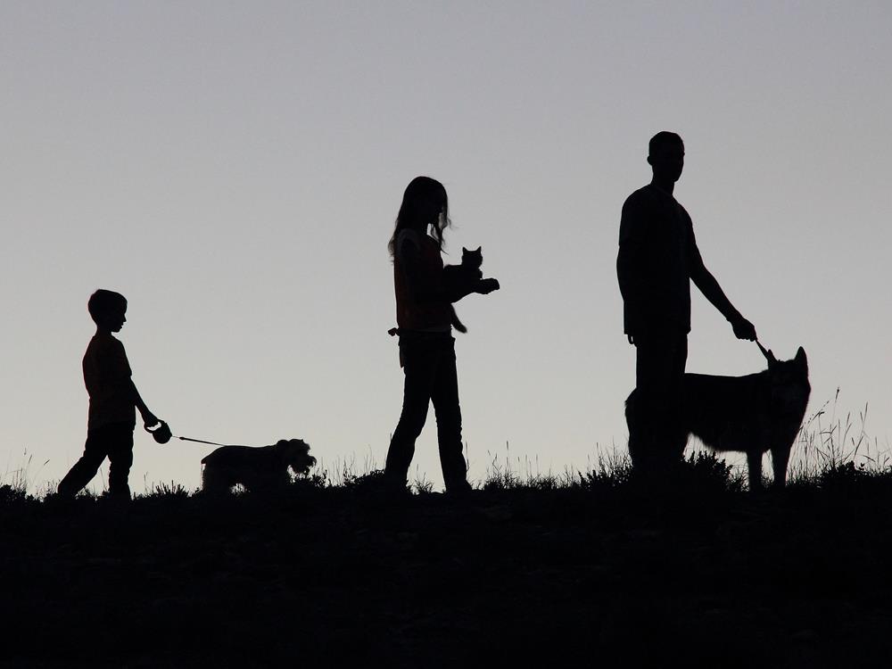 Veterinary Services in Castle Dale, UT Emery Animal Health