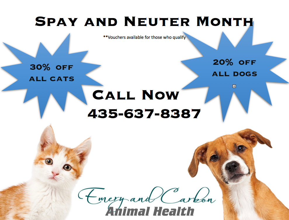 Veterinarian in Castle Dale, UT Emery Animal Health